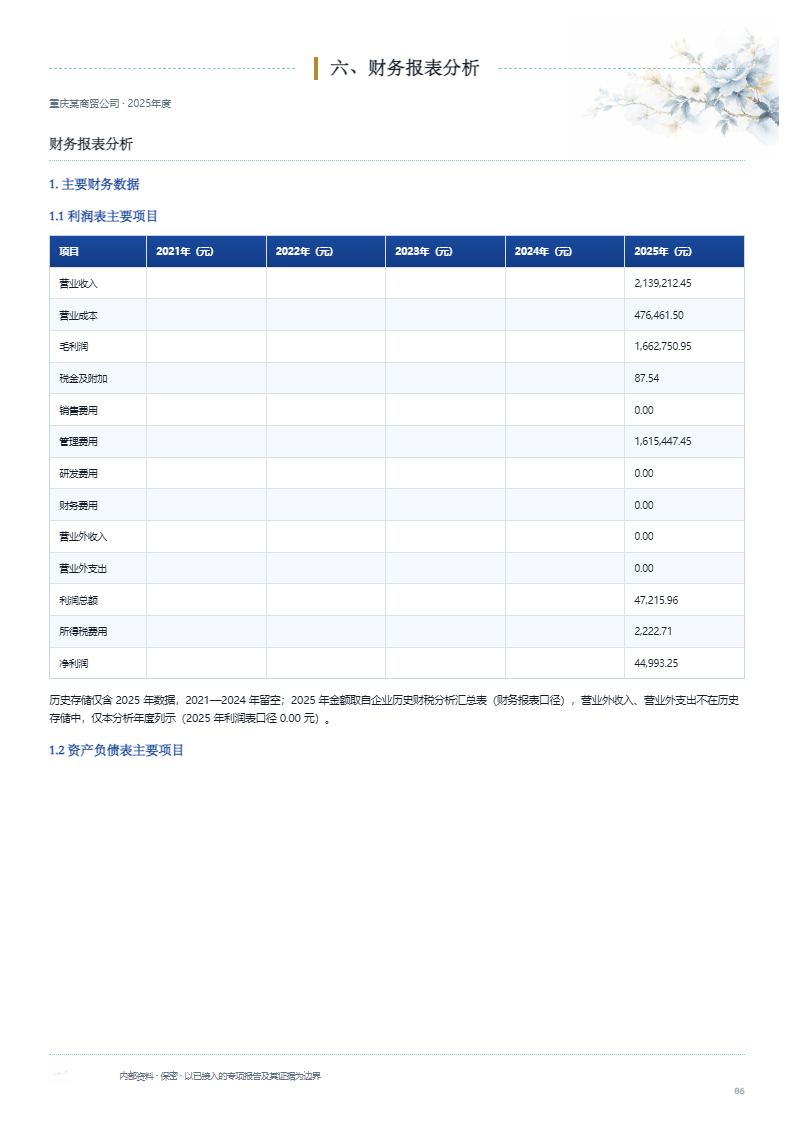 财务报表分析第1页